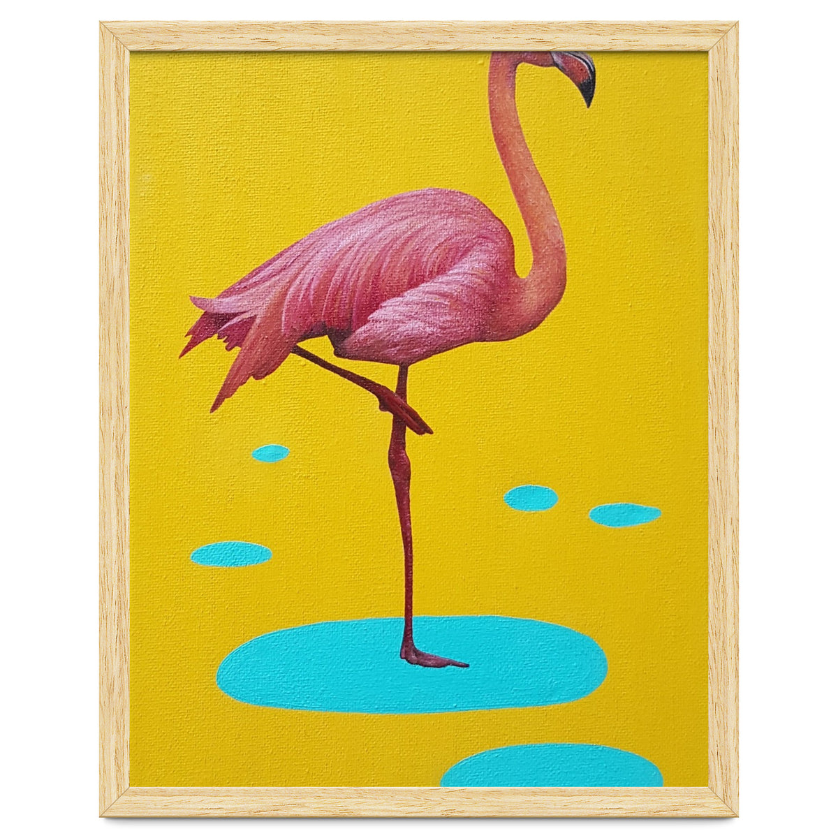 Flamingo