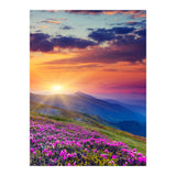 Nature (Print Only) thumbnail