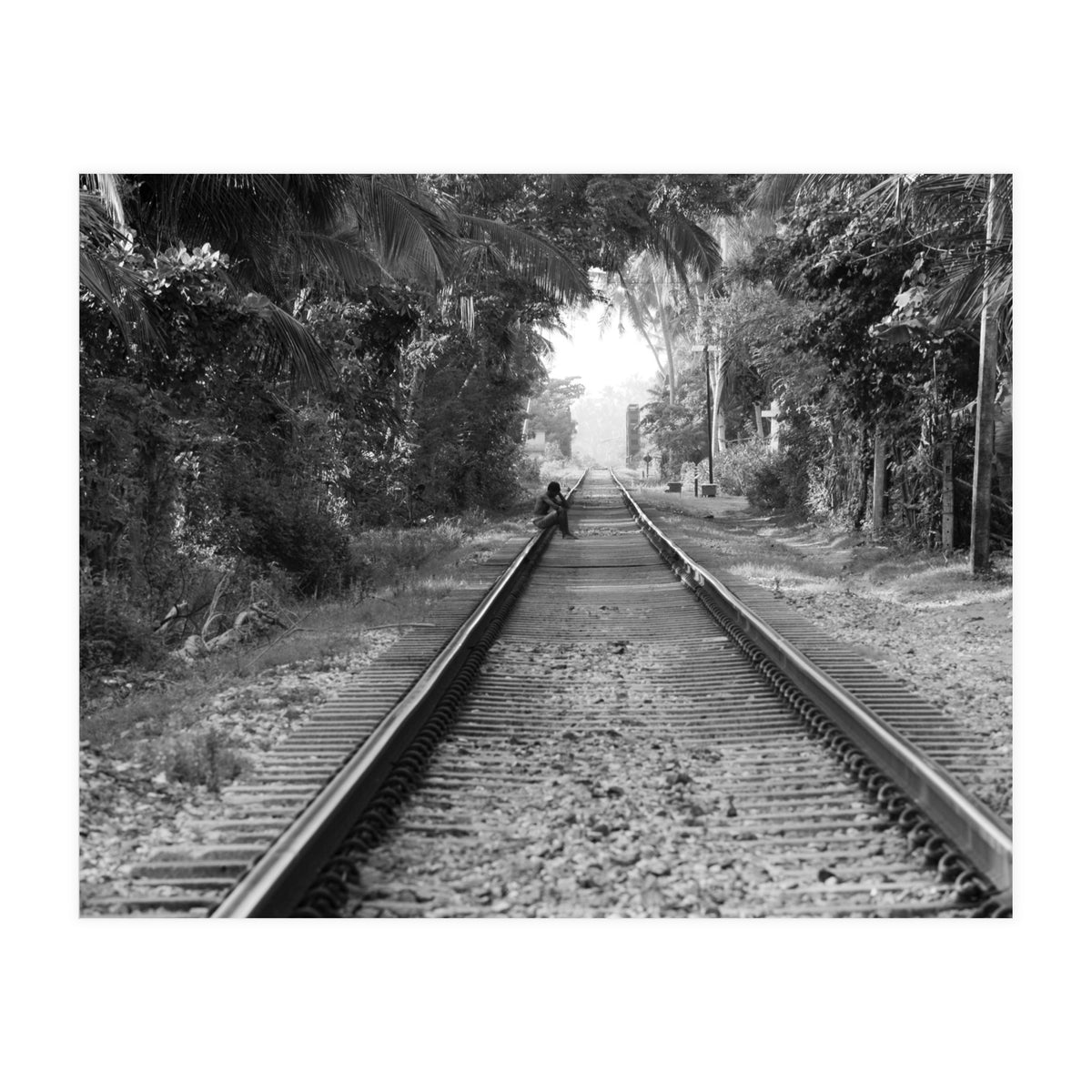 Colombo, Sri Lanka (Print Only)