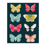 Lepidoptery Study No. 2 (Print Only) thumbnail