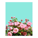 Blissful (Print Only) thumbnail