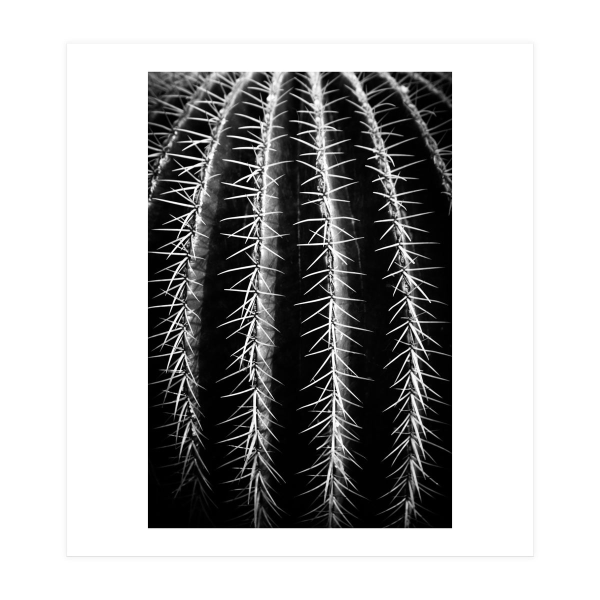 can't touch this (Print Only)