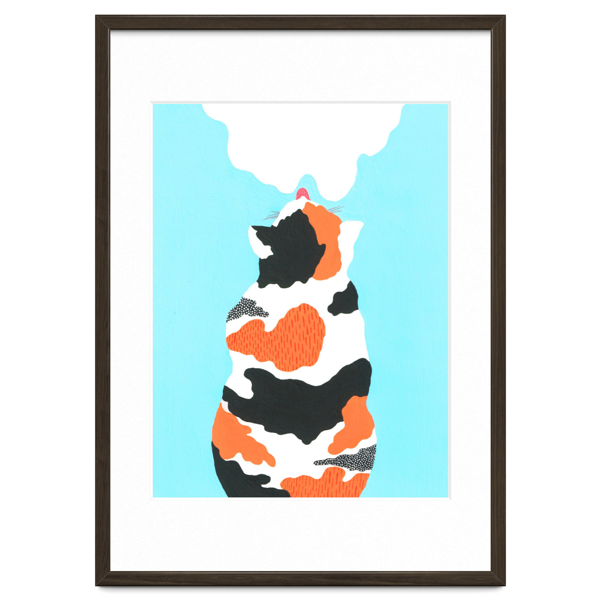 Tri Colored Calico Cat