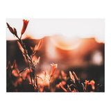 Nature (Print Only) thumbnail