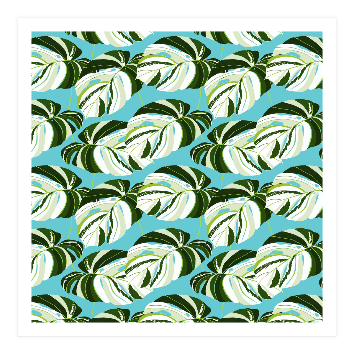 Summer Variegated Monstera | Rainforest Jungle botanical Plants Illustration | Boho Tropical Nature (Print Only)