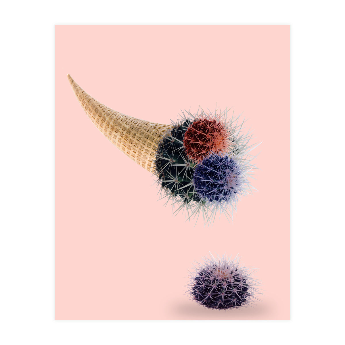 Cactus Cream 50x70 (Print Only)