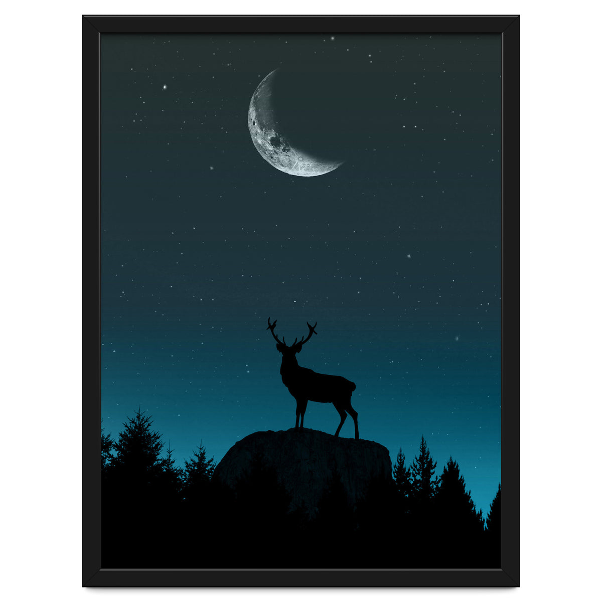 Wild Nature - Nocturne