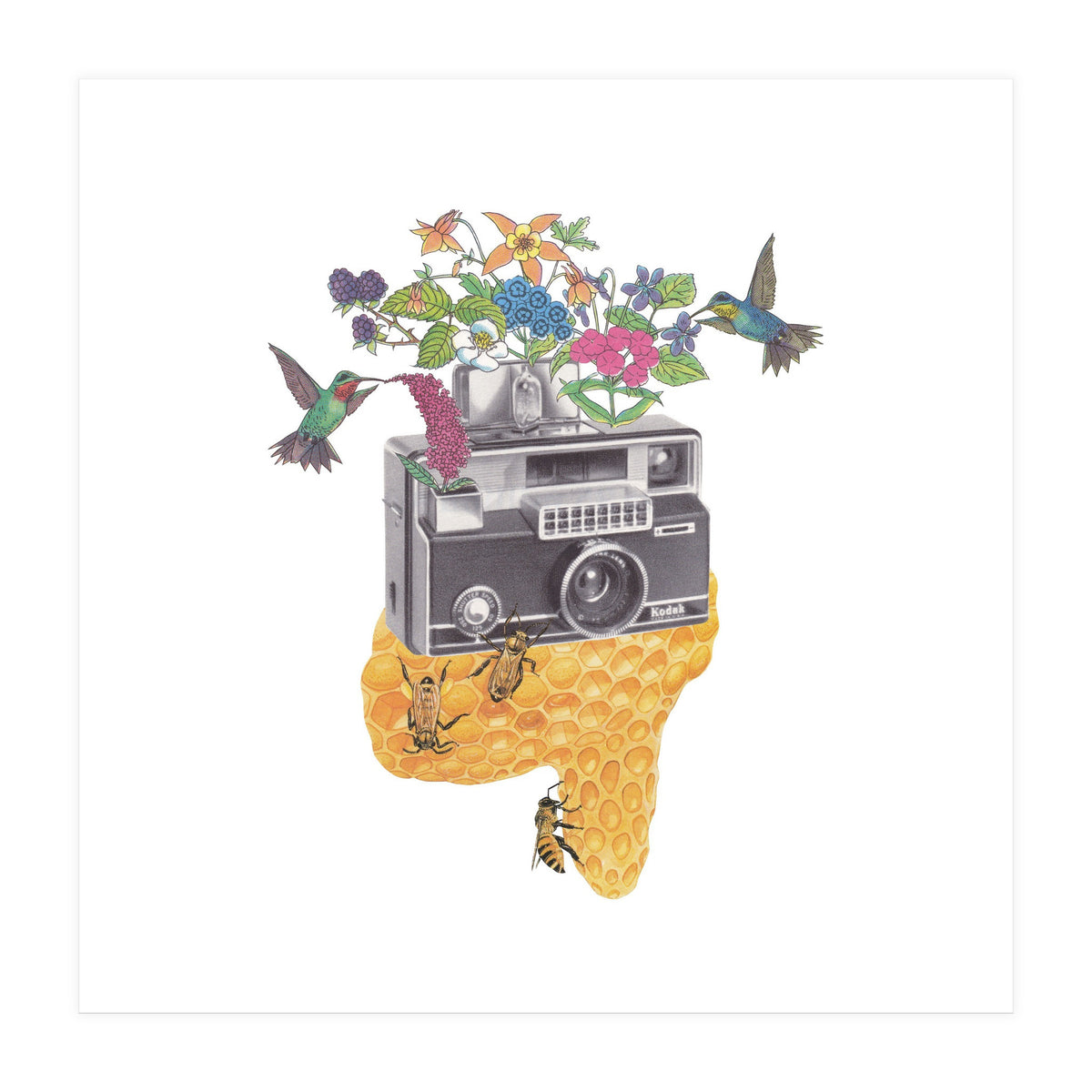 Vintage Camera (Print Only)