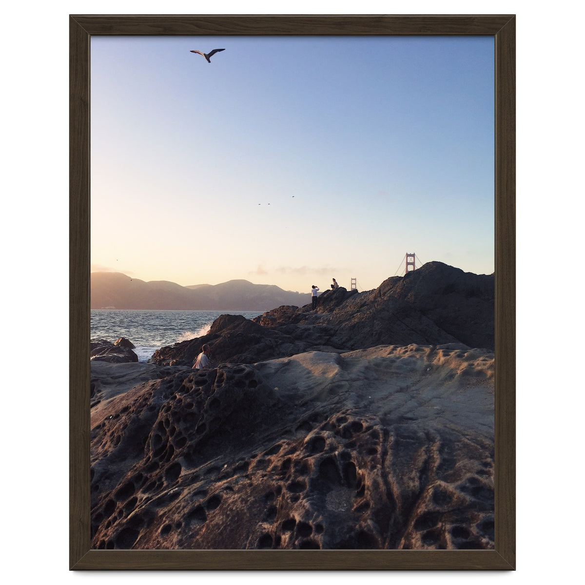 Golden Gate Bridge V