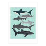 Sharks (Print Only) thumbnail