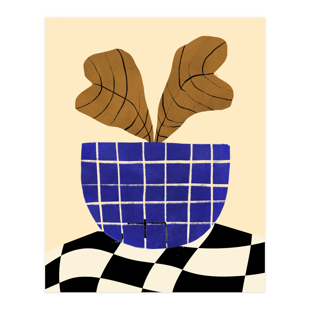 Heuchera (Print Only)