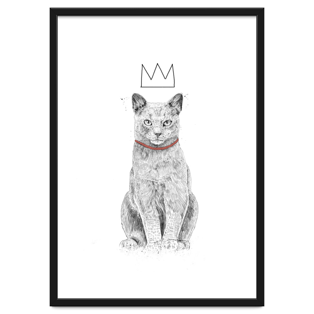 King Of Everything (bw)