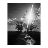 Walking on the shadows (Print Only) thumbnail