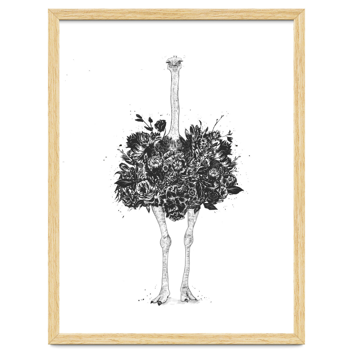 Floral Ostrich