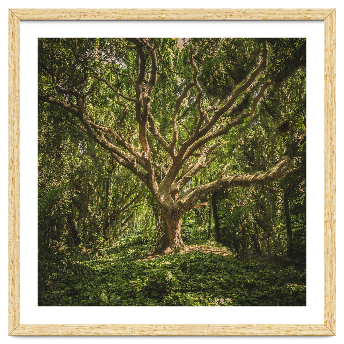 Spirits inside the wood