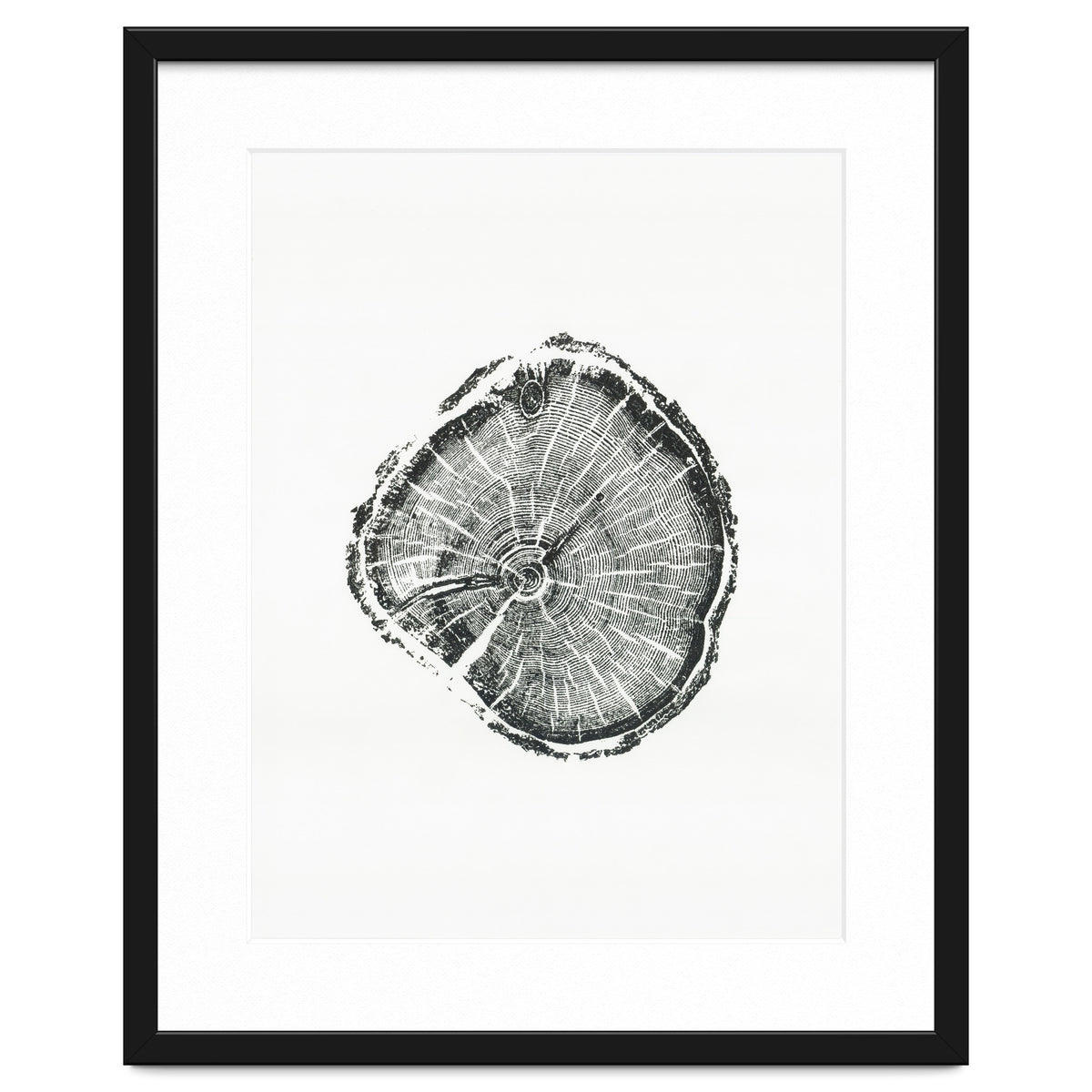 Tree Ring Print, Albion Basin, Utah, Pine Tree Print