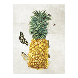 ananas (Print Only) thumbnail