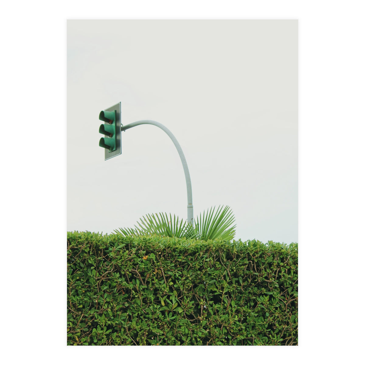 Urban Plant (Print Only)