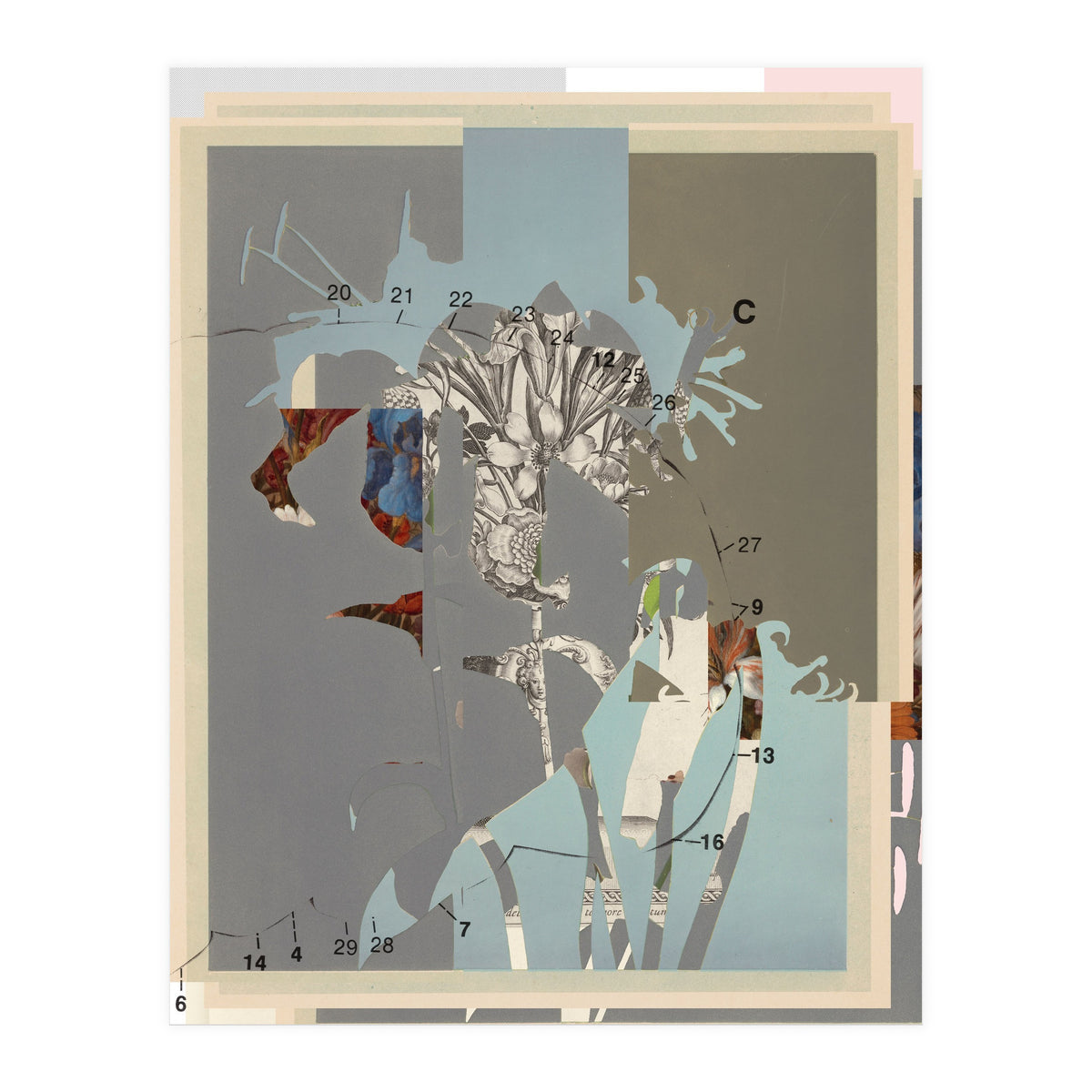 The First Plant · D (Print Only)