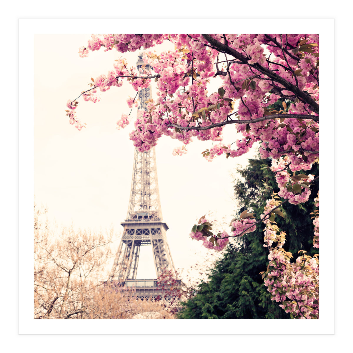 Paris in the Spring (Print Only)