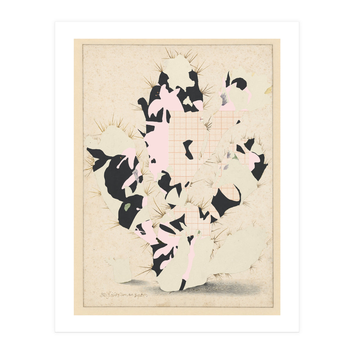 The First Plant · E (Print Only)