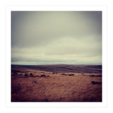 Bleak winter landscape of Saddleworth Moor  (Print Only) thumbnail
