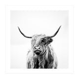 portrait of a highland cow (Print Only) thumbnail