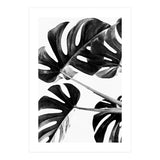Monstera Black And White 05 (Print Only) thumbnail
