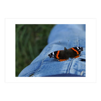 Friendly Butterfly (Print Only)
