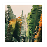 Shades Of Summer (Print Only) thumbnail