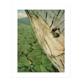 Vertigo (Print Only) thumbnail
