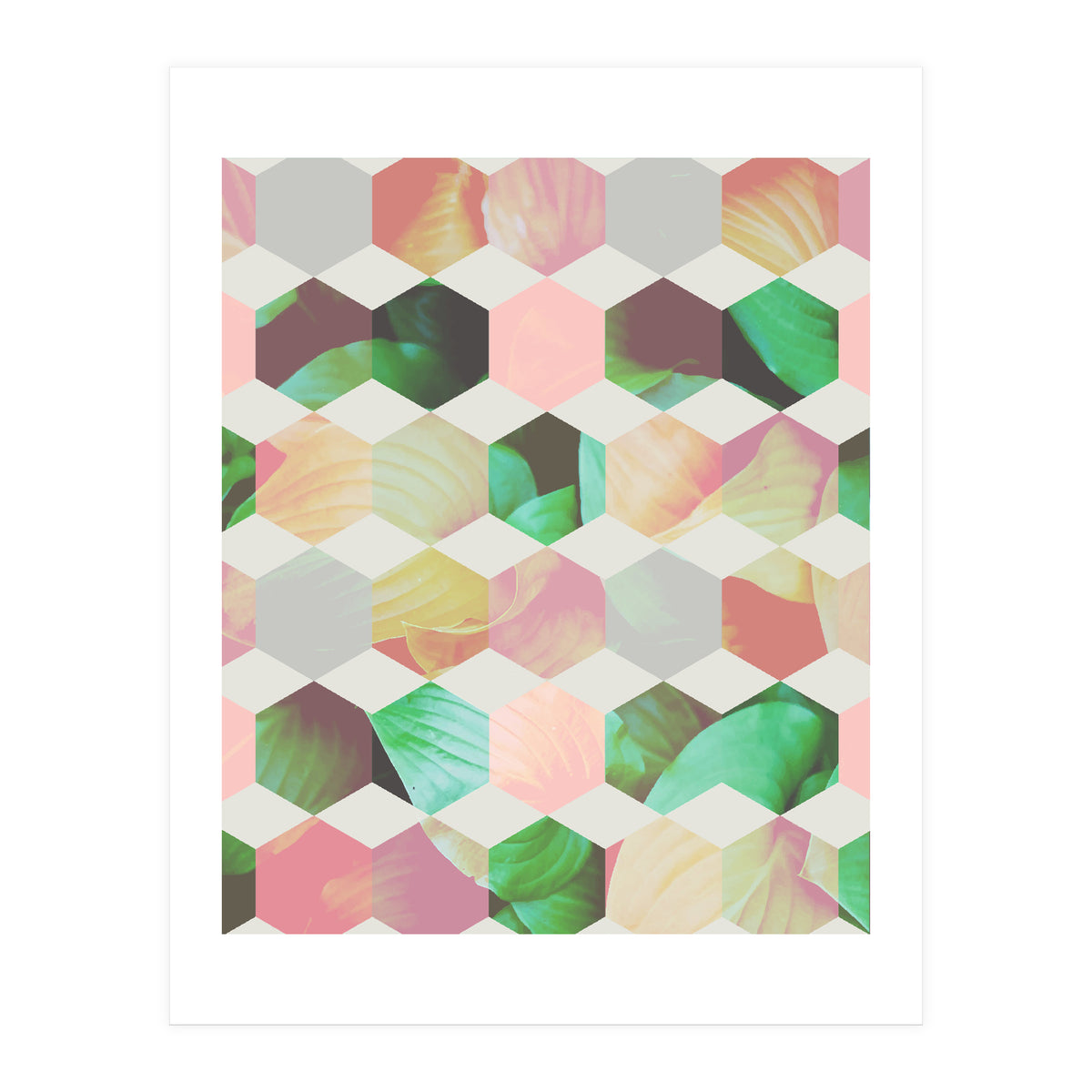 Epsilon (Print Only)