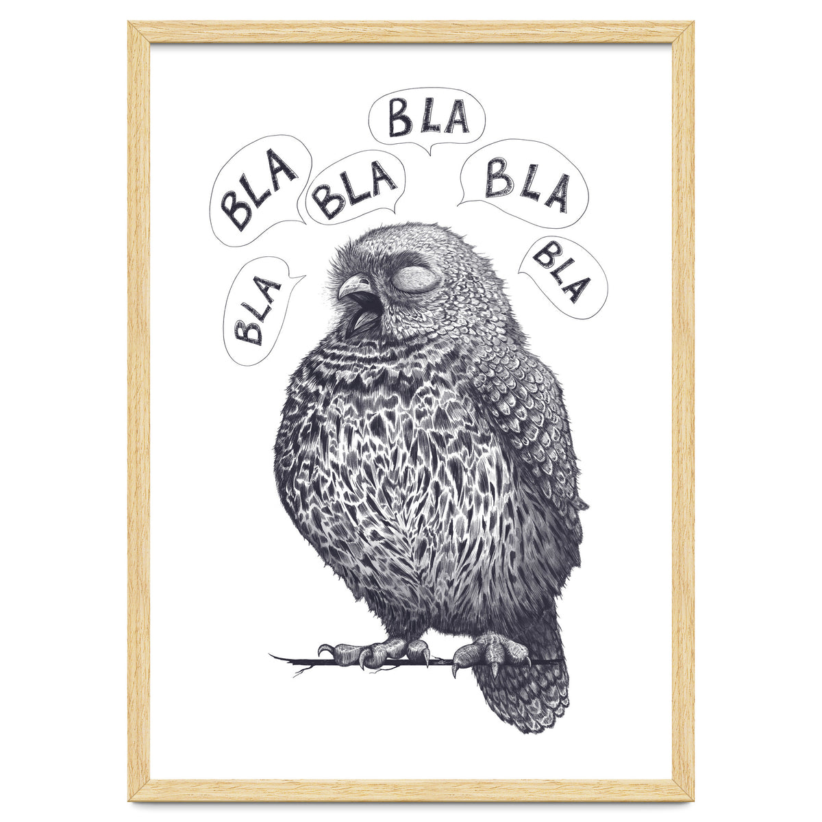 Owl Bla Bla Bla