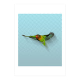 Flying lovebird (Print Only) thumbnail