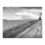 Lonely tree (Print Only) thumbnail