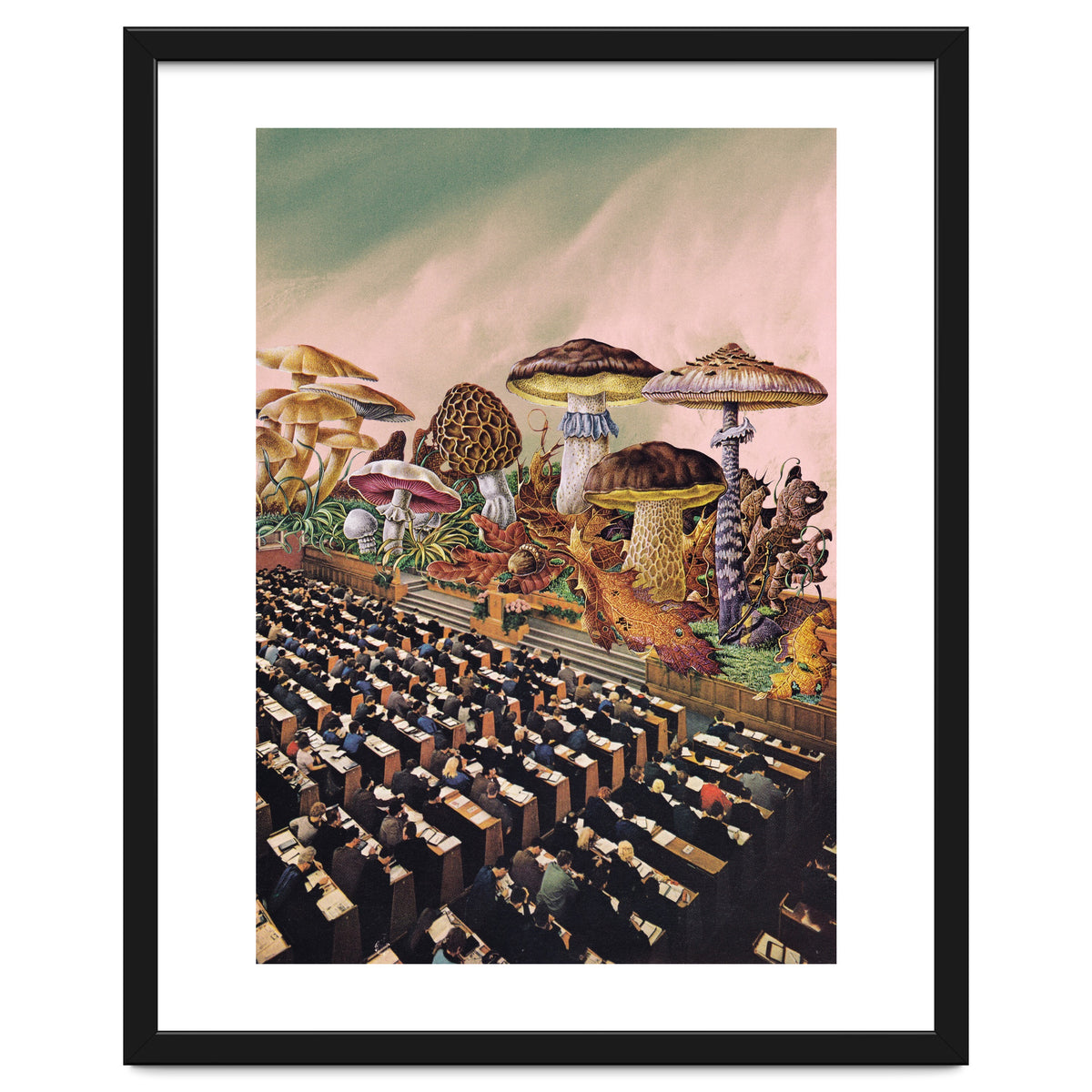 Psychedelic Experience