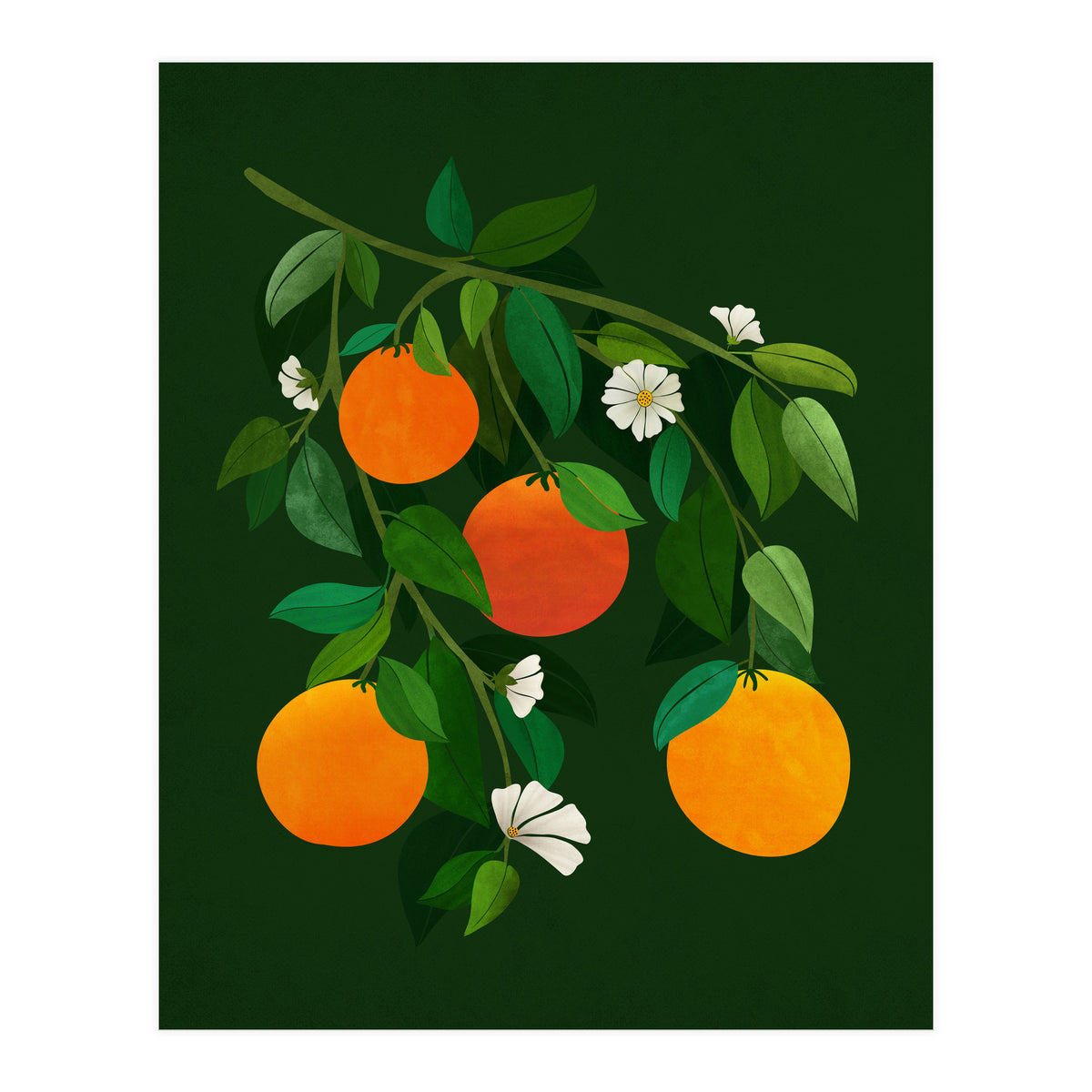 Oranges and Blossoms (Print Only)