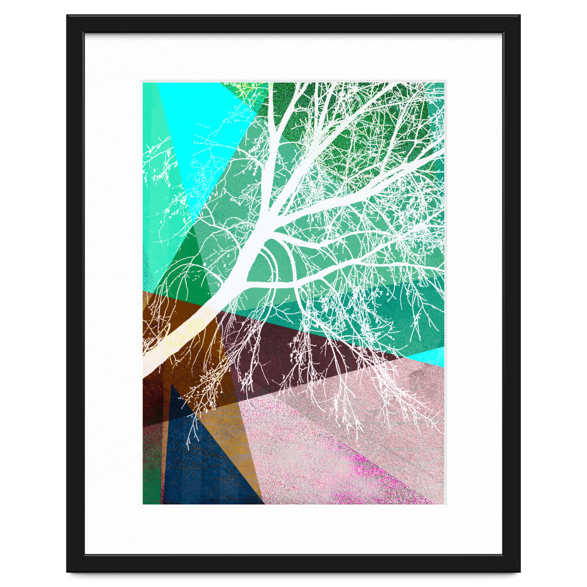 P16-H Trees And Triangles