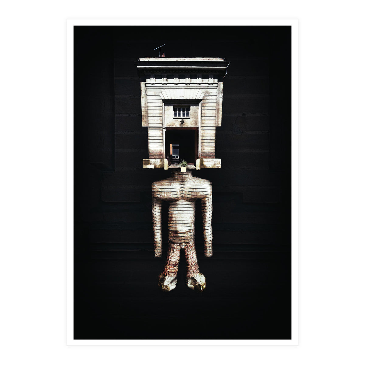 VooDooTooL - Jujia (Print Only)