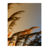 Sunset in autumn (Print Only) thumbnail