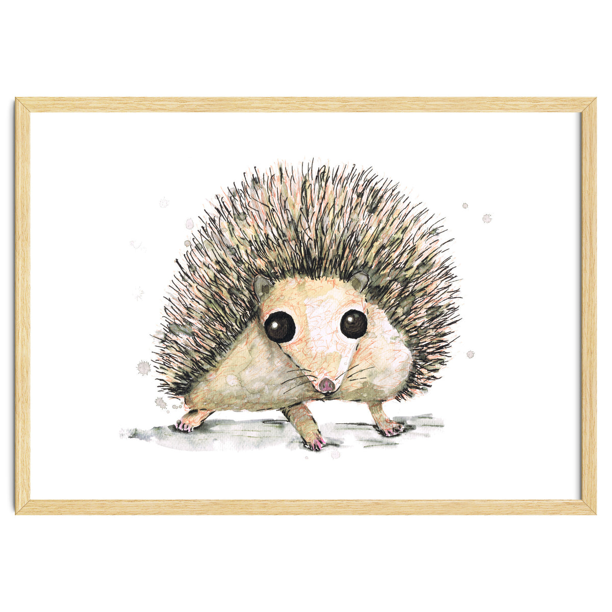 Hedgehog
