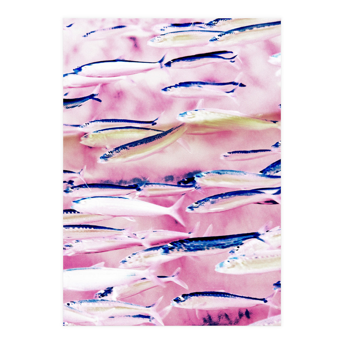 Marked Coast (Print Only)