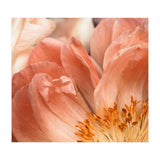 Coral Charm #1 (Print Only) thumbnail