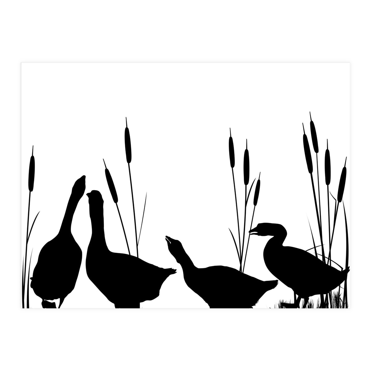 Geeses  (Print Only)