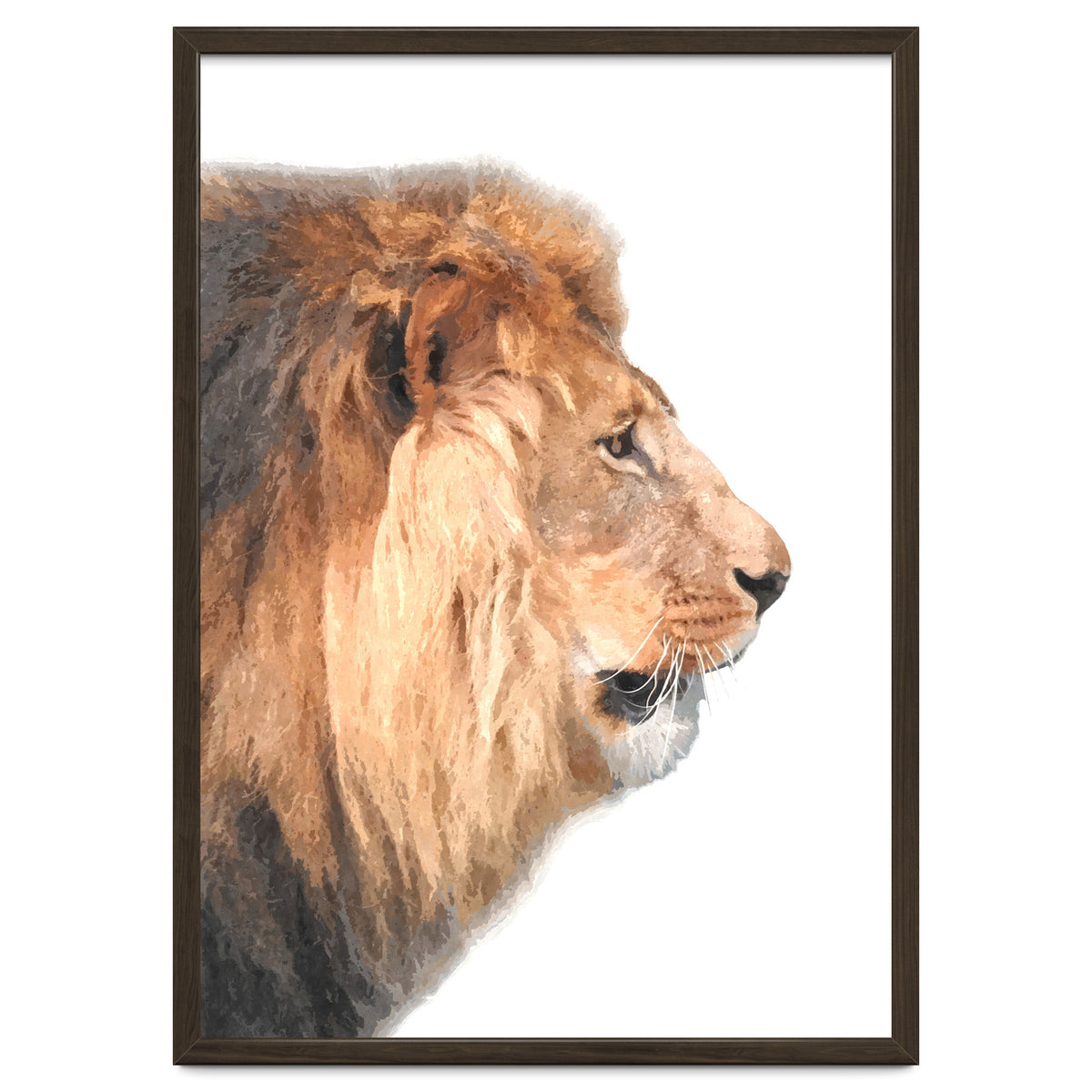 Lion Profile