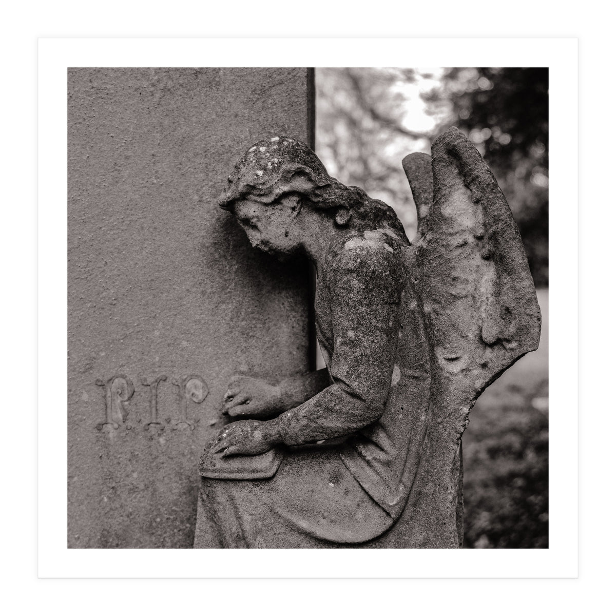 Rest in Peace (Print Only)