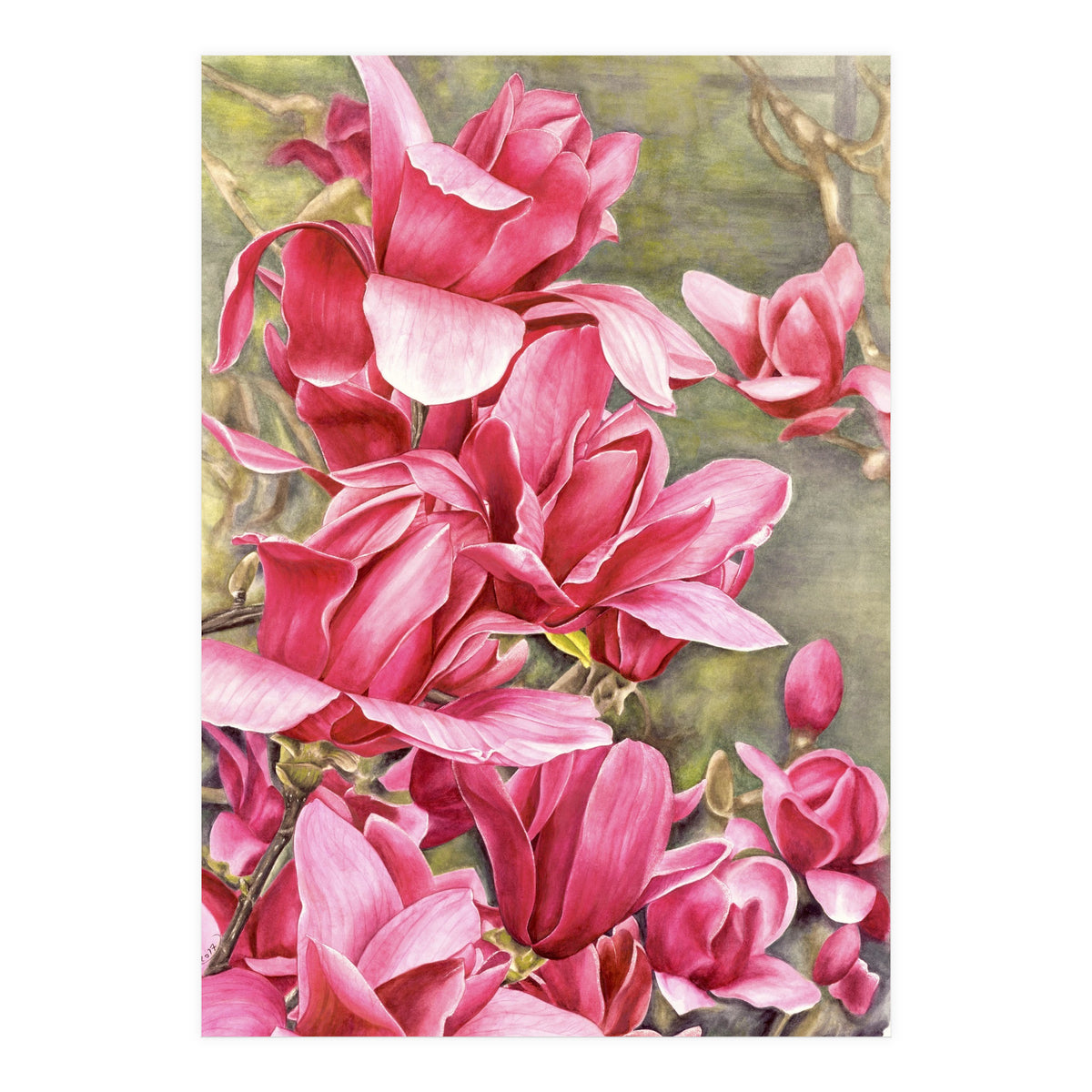 Magnolia 5 (Print Only)