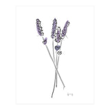Lavender (Print Only) thumbnail