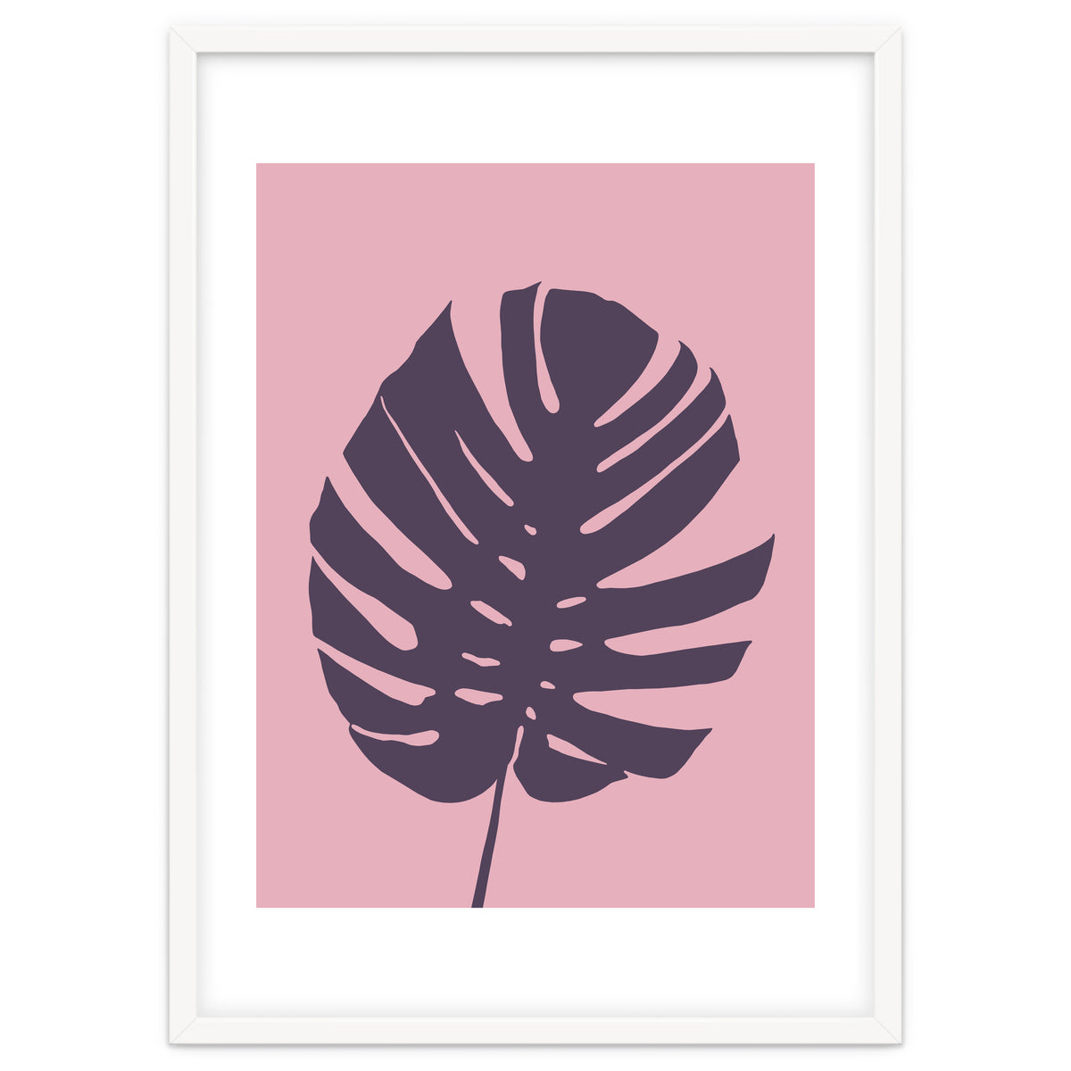 Monstera Deliciosa III
