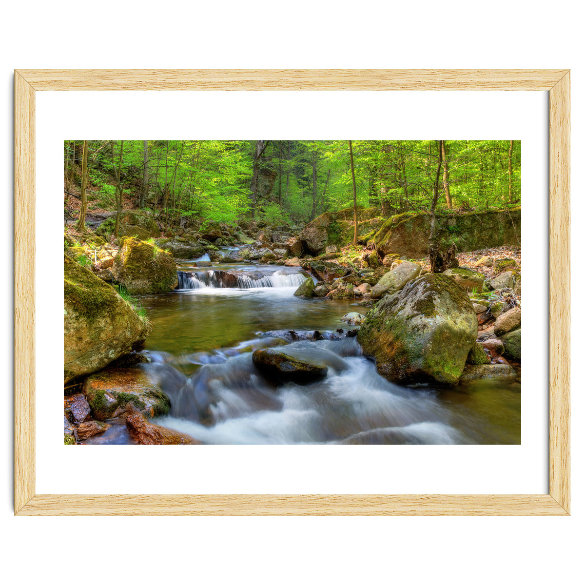 Spring At Harz Moutain